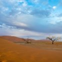 NAM HAR Dune45 2016NOV21 046 : 2016 - African Adventures, Hardap, Namibia, Southern, Africa, Dune 45, 2016, November